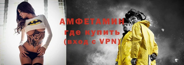 молекула духа Богородицк