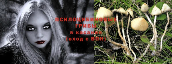 молекула духа Богородицк