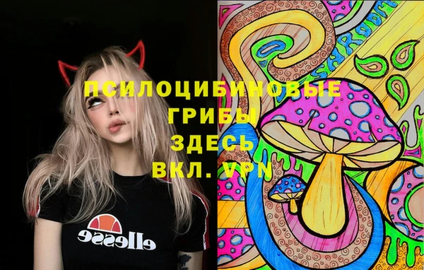 молекула духа Богородицк