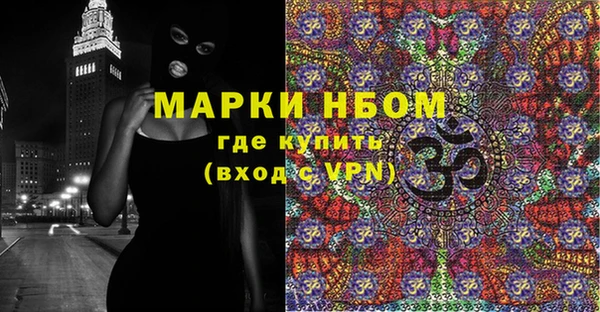 молекула духа Богородицк